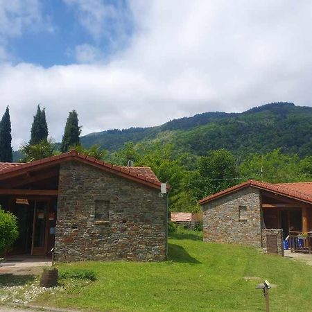 Chalets A 10 Minutes De Foix Mercus-Garrabet Extérieur photo